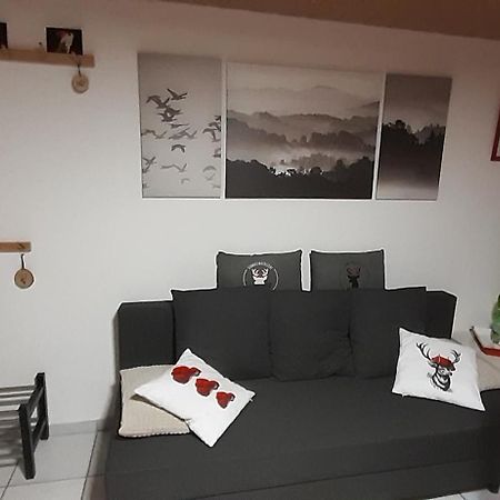Vorstetten Schwarzwaldstube 2 Zimmer Fuer Gaeste In Voerstetten מראה חיצוני תמונה